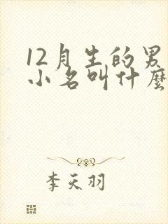 12月生的男孩小名叫什么好