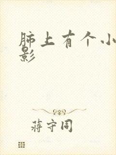 肺上有个小结节影