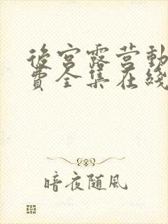 后宫露营动漫免费全集在线观看