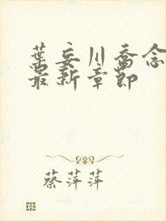 叶妄川乔念小说最新章节