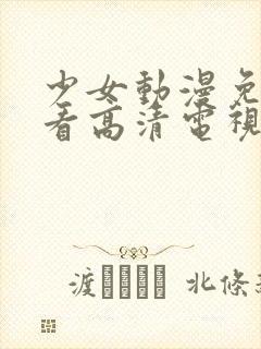 少女动漫免费观看高清电视剧韩剧