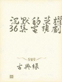 沉默的荣耀1—36集电视剧在线观看