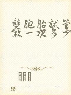 双胞胎试管婴儿做一次多少钱