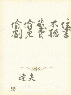 偷偷藏不住广播剧免费听书封面