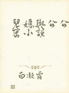 儿媳与公公的秘密小说
