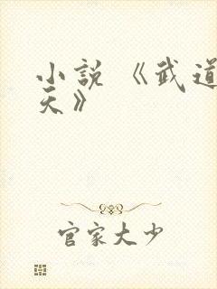 小说 《武道凌天》