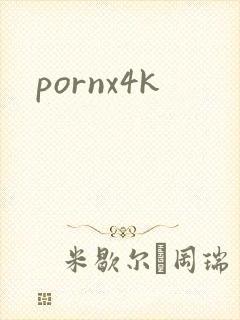 pornx4k封面