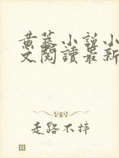 黄蓉小说小强全文阅读最新章节更新