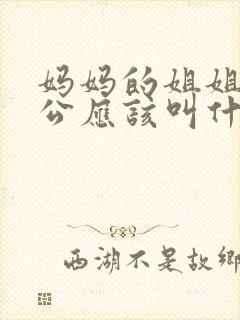 妈妈的姐姐的老公应该叫什么封面