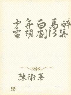 少年白马醉春风电视剧13集封面