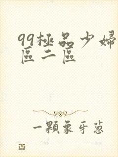 99极品少妇一区二区封面