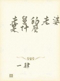 老舅的老婆结局是什么