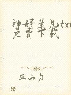 神婿叶凡txt免费下载