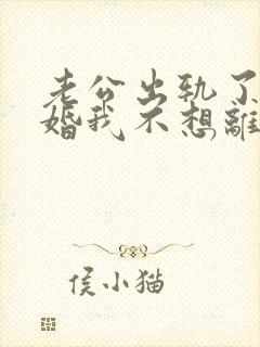 老公出轨了要离婚我不想离婚怎么办封面