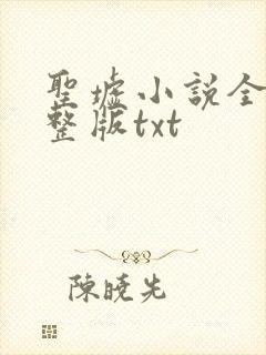 圣墟小说全集完整版txt封面