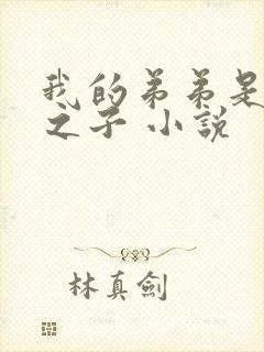 我的弟弟是天选之子 小说