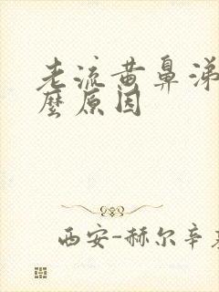 老流黄鼻涕是什么原因