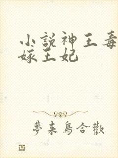 小说神王毒宠二嫁王妃