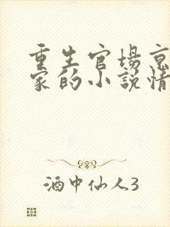 重生官场京城唐家的小说情节封面