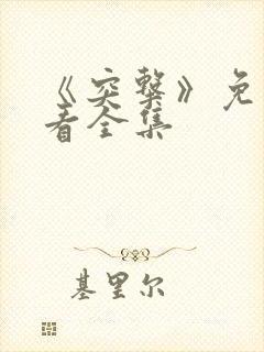 《突击》免费观看全集