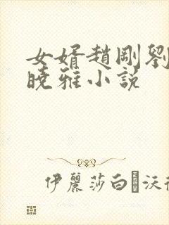 女婿赵刚刘梅李晓雅小说