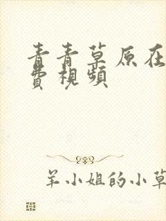 青青草原在线免费视频