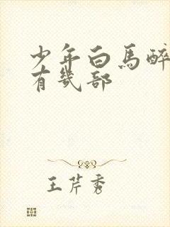 少年白马醉春风有几部