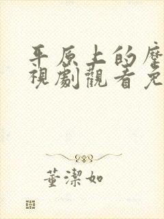 平原上的摩西电视剧观看免费完整版