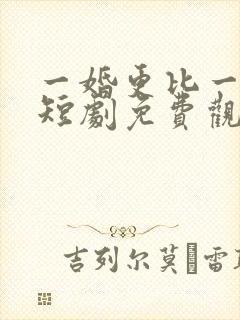一婚更比一婚高短剧免费观看封面
