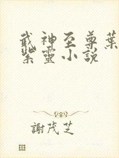 武神至尊叶风叶紫灵小说