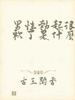 男性勃起很快就软了是什么原因