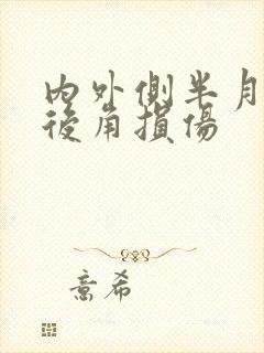 内外侧半月板前后角损伤