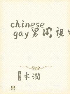 chinese gay男同视频网站
