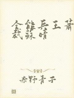 全能兵王萧晨总裁苏晴