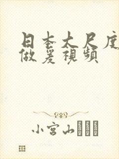 日本大尺度床戏做爰视频封面