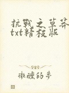 抗战之草莽英雄txt精校版