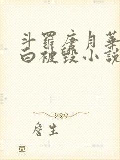 斗罗唐月华的清白被毁小说封面