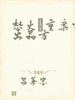 怒火·重案电影出品方