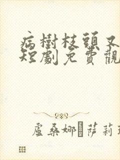 病树枝头又逢春短剧免费观看全集