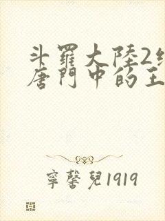 斗罗大陆2绝世唐门中的王冬