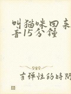 叫猫咪回来的声音15分钟