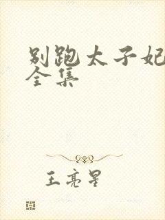 别跑太子妃短剧全集