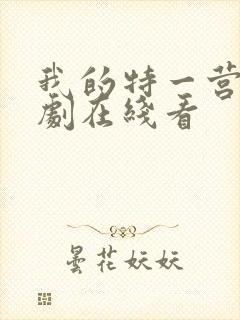 我的特一营电视剧在线看封面