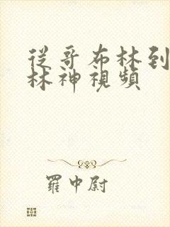 从哥布林到哥布林神视频