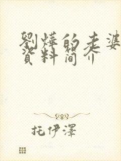 刘烨的老婆个人资料简介