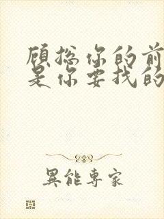 顾总你的前妻就是你要找的人短剧