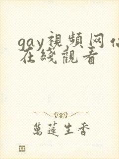gay视频网站在线观看