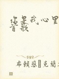 你是我心里的一首歌