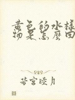 黄色的水样分泌物是怎么回事