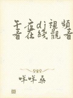 午夜dj视频观看在线观看